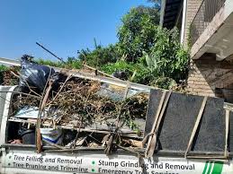 Best Office Cleanout  in Trinity, AL