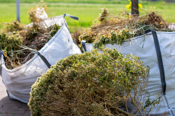 Best Mattress Disposal  in Trinity, AL